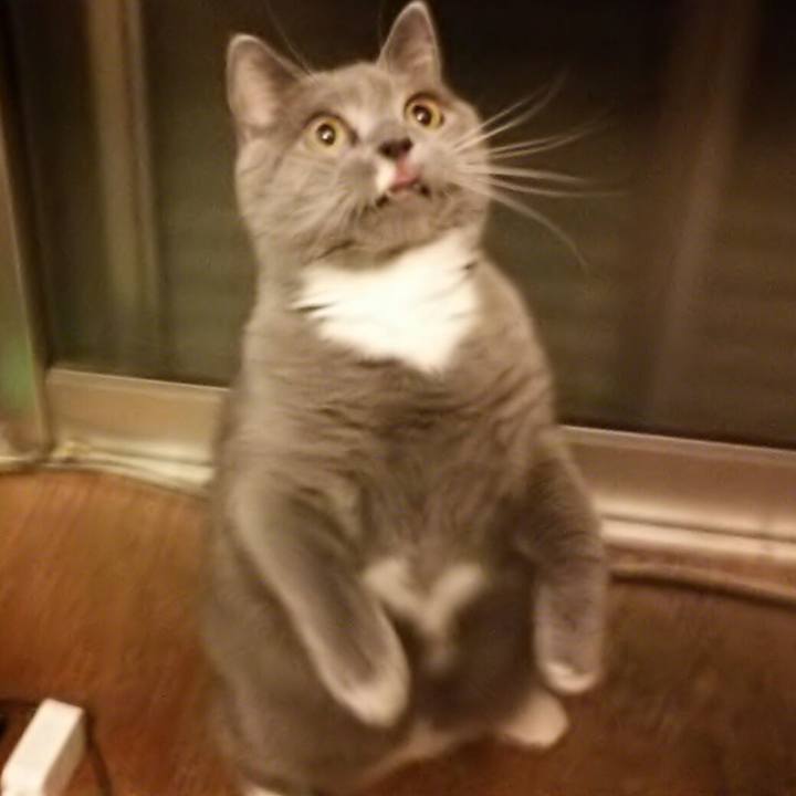 535ad6d7 ea89 4c24 9f3b bc0ebfe05483 1551704244462