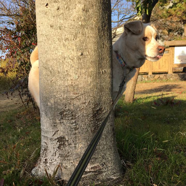 535ad9a3 3755 4577 b3c1 515e2e20638c 1516273984094