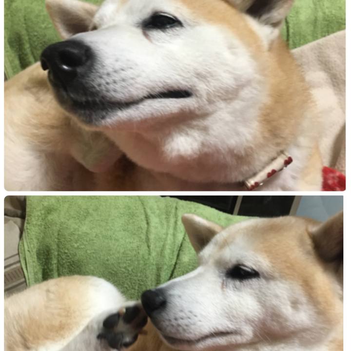 535ae19b d16a 47ad a60f 55f209eb86b5 1514328279078