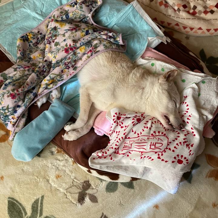 535af851 4149 454e 907a 5fb6fc1a4b67 1675659202741