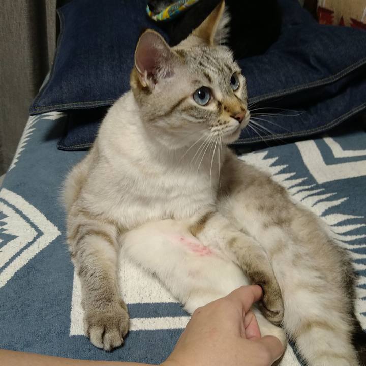 535b3ca1 b24c 4e5c a460 561c99551cf0 1727790626552