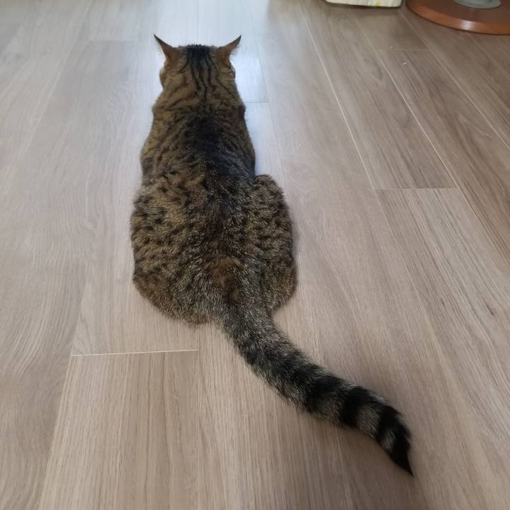 535b47ce 2f57 40b5 8000 f7185c38b414 1618431929297