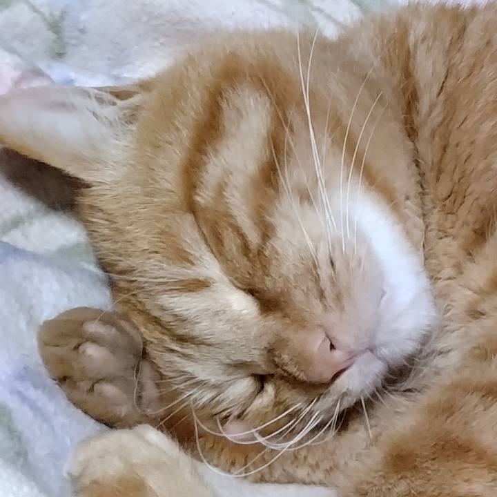 535b8b9b 6655 4153 abde 458b469d16a4 1672057572428