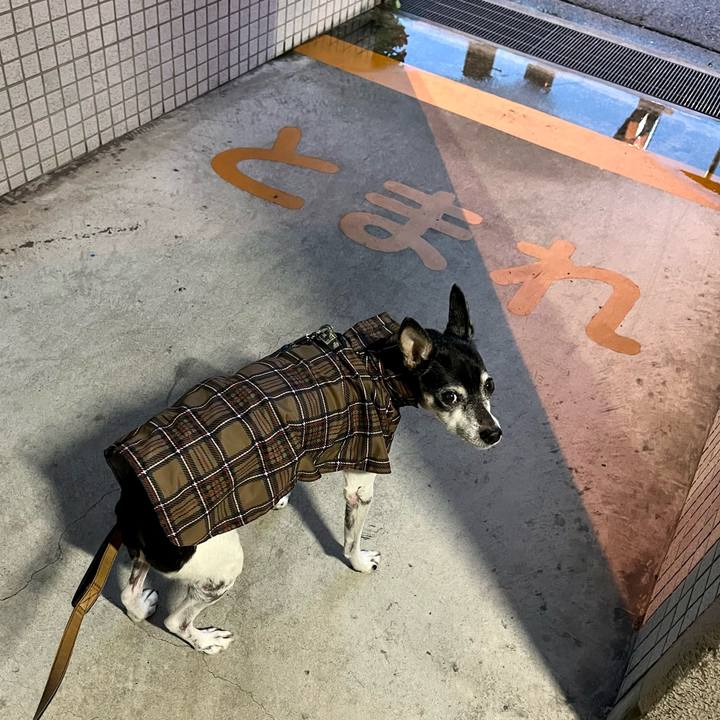 535bb611 70cc 4857 a511 b7a6747e564f 1636407574200