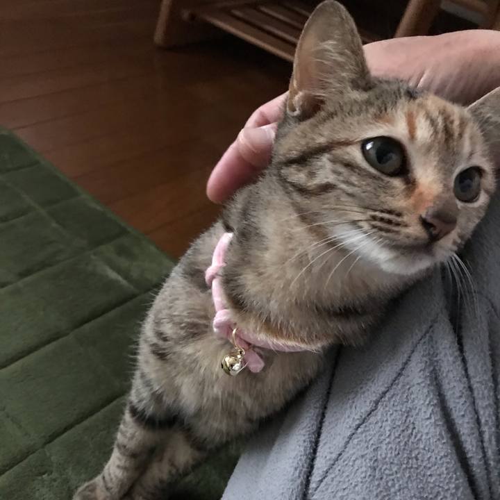 535bb8be ae3f 4575 93e8 3a99676b39d4 1544229833292