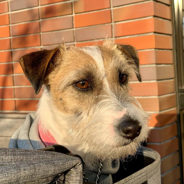 535bbfb7 b187 45f1 b8be bdf9ad6526e2 1615460260583