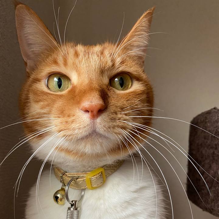 535be27d 0639 4b3f b645 bf796d3832ef 1606824002539