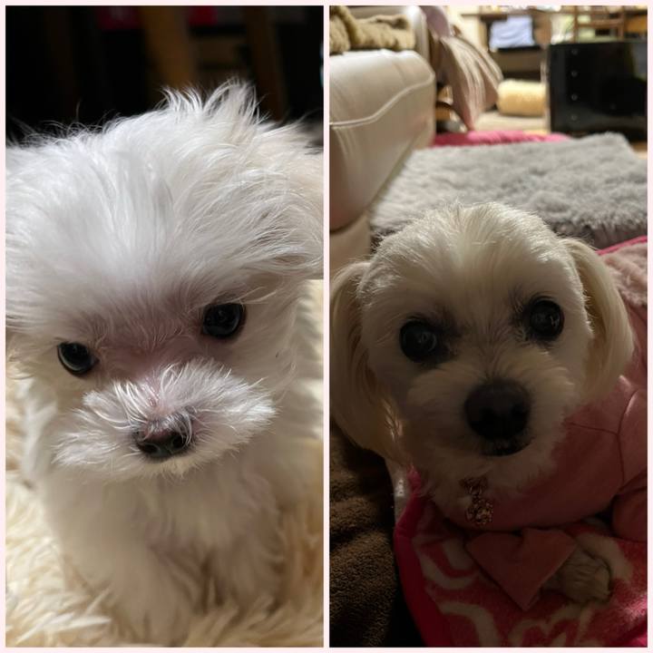 535c0a35 877d 4a1c a9ea 499677ed94c8 1700568091988