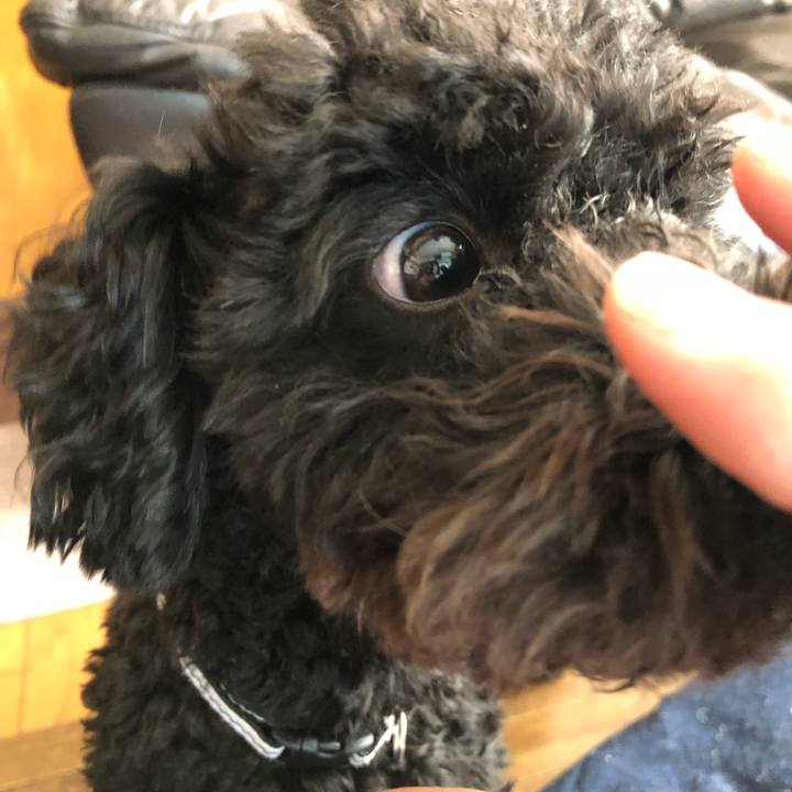 535c33b2 9d0e 4277 ae63 c959e03019f1 1515319894894