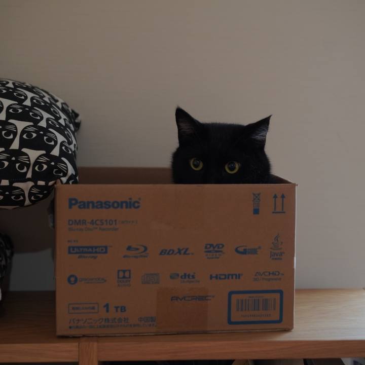 535c4e21 8336 48f8 9afd cf23309a693c 1632264900549