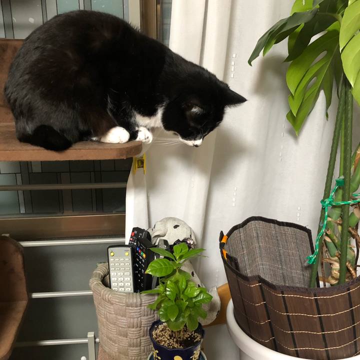 535c84ab fbd7 434d 93f9 3e37fbdc661a 1644310962413