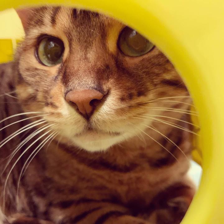 535cb460 17d6 42e1 8f54 d527c3a327f2 1580938807156