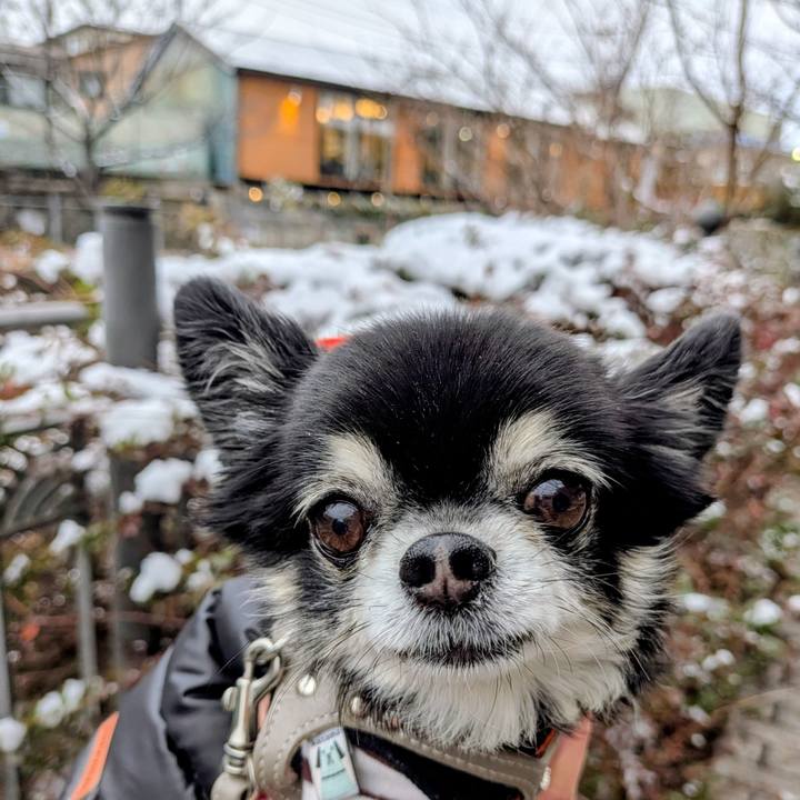 535cb690 3876 4cd4 818a 5689098b9c87 1770546117596