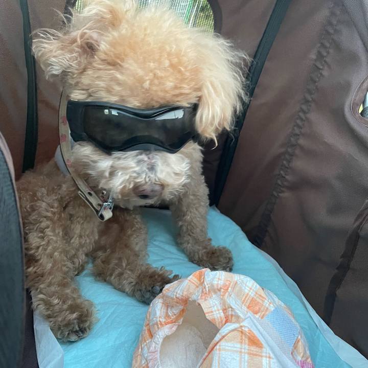 535d2478 f736 4ce9 b9c8 4e789e962e21 1762048939409