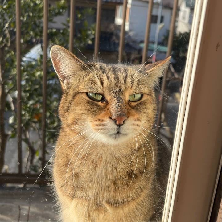 535d4b74 148f 4643 aa7b cbfe4520dfb2 1769556220082