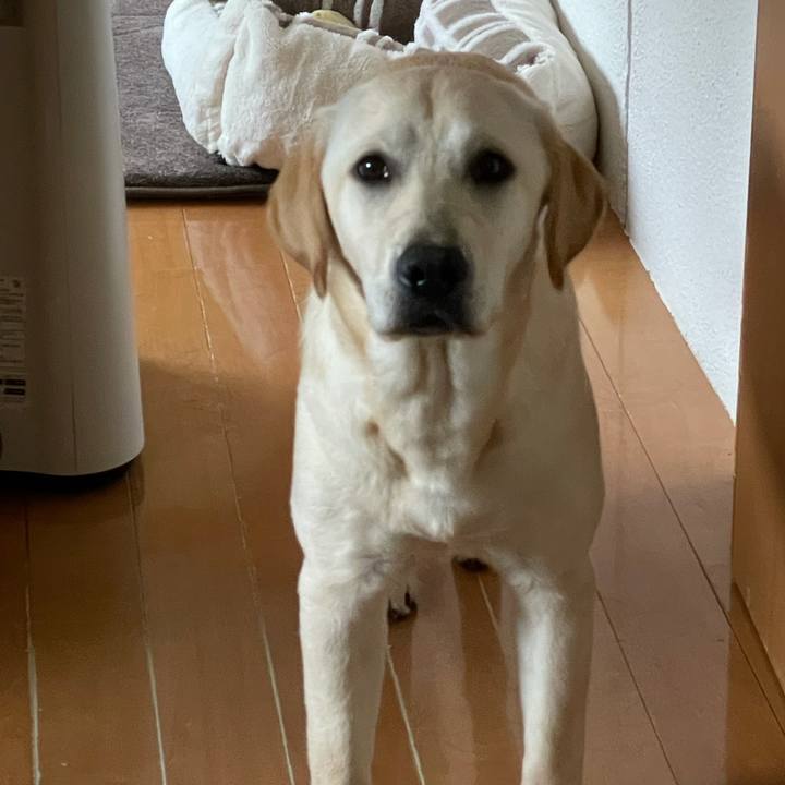 535d50d1 d8fe 42ed abe8 f9fa1a5ff0bc 1623652935364