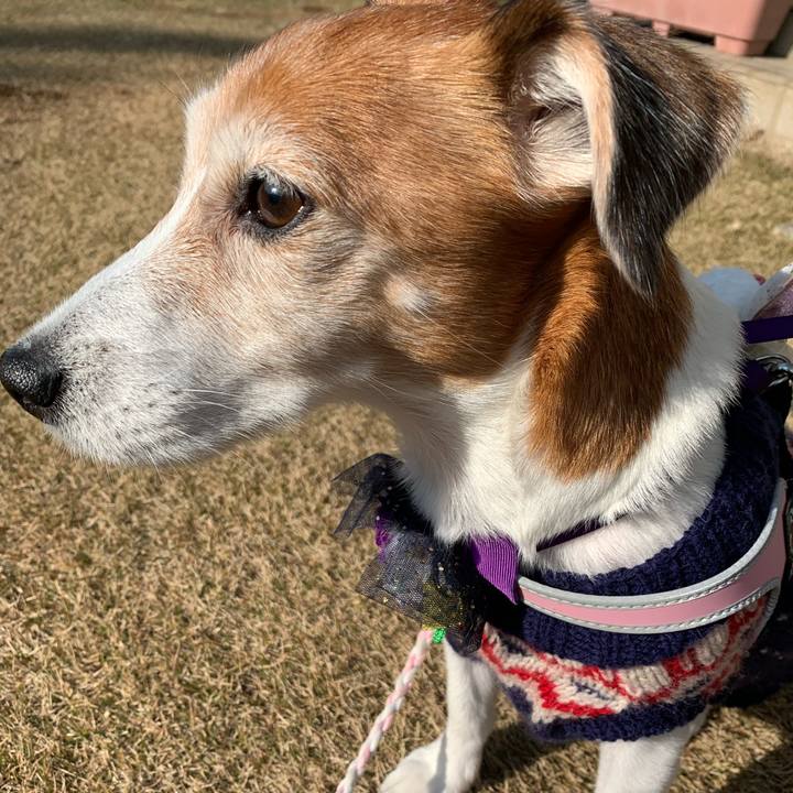 535d5707 0d52 49a7 ba1d 075a17404d7c 1578019842920