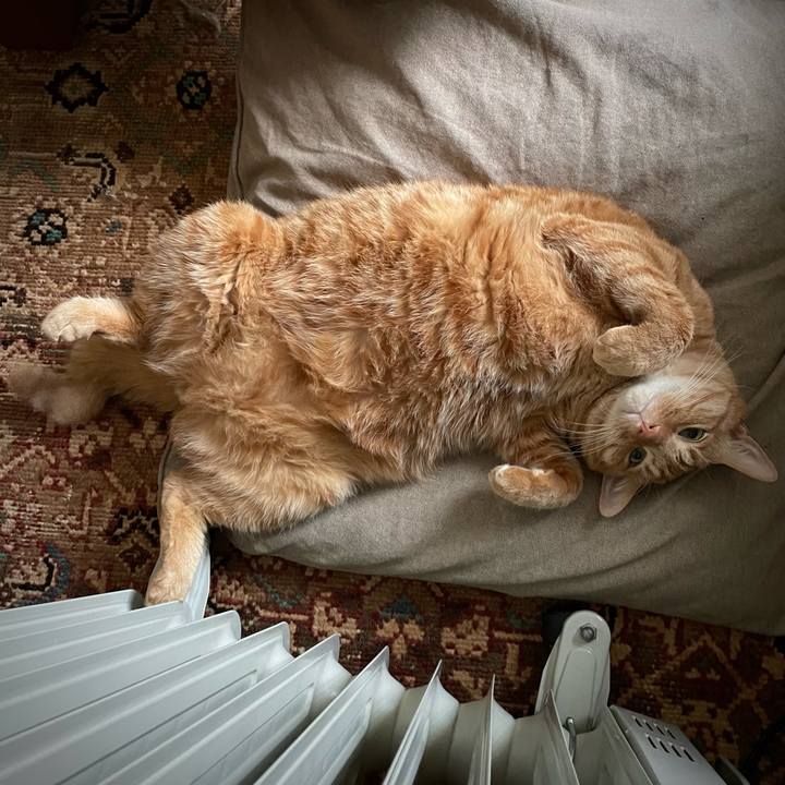 535d628e a2e3 442f ab65 50502d361043 1672370591616