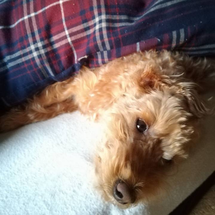 535d9097 f81b 4712 88b9 096917b279cc 1556144493551