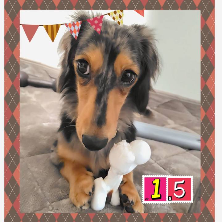 535d9710 7ea1 45cb 9ded 6c6021695923 1729064712405