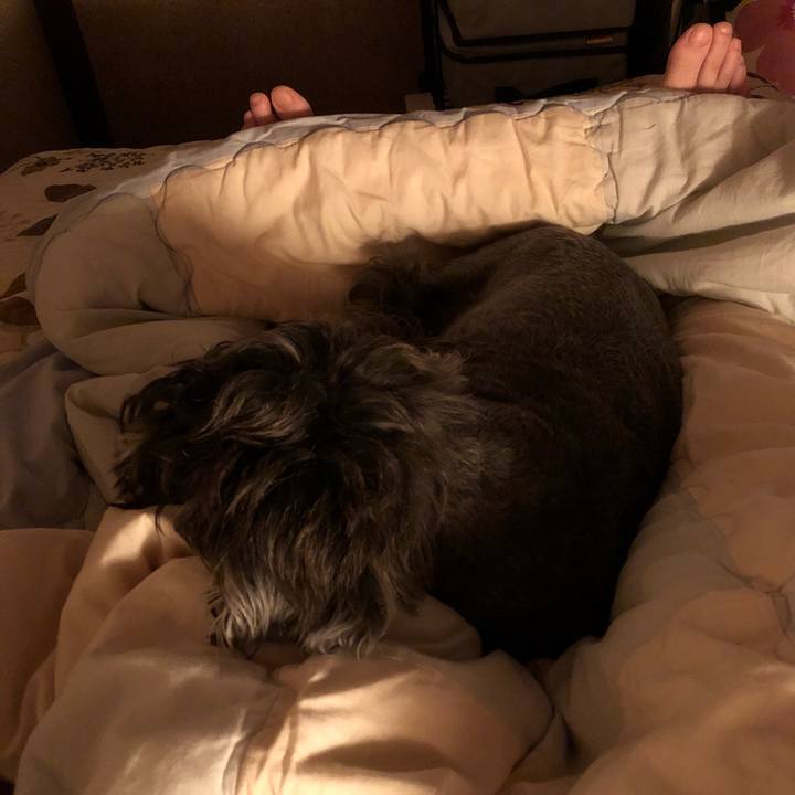 535d9cb4 96db 468a 91f1 a0a11dcf577f 1537359092466