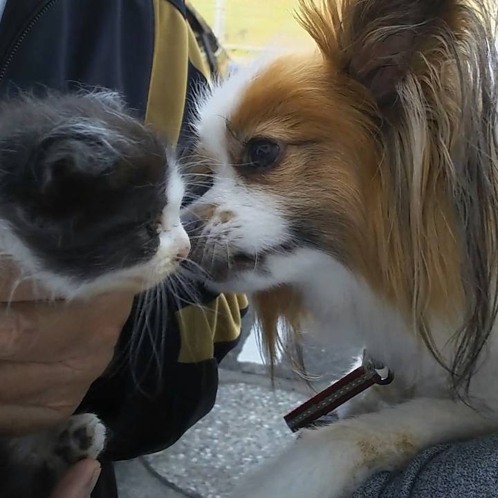 535deda9 bdfd 4db1 b688 e734b8a3b68f 1557728591123