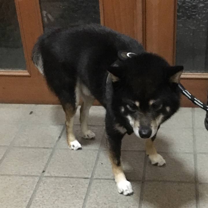 535e3044 11cf 4de0 909c caf76fcd4d0f 1511662784144