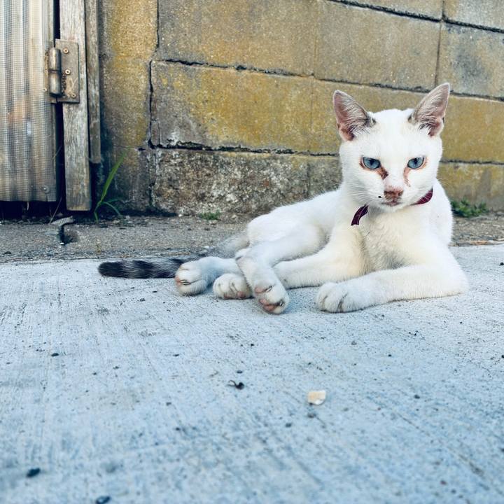 535e3b01 d263 4f02 a141 cae184bf25f7 1765721509264