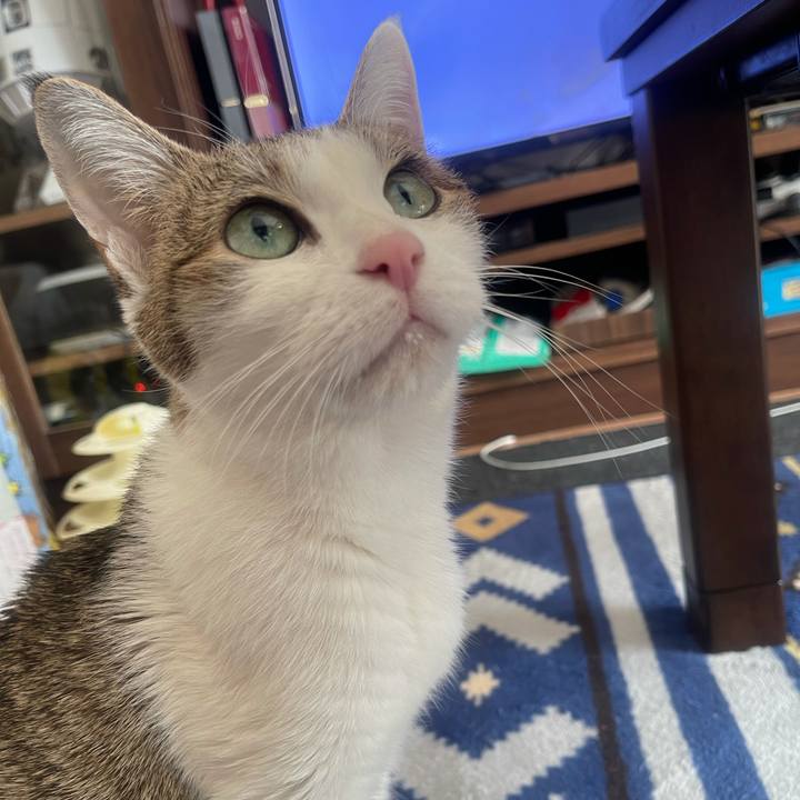 535e3c57 af2c 489e 85ba 49d2cae9c72d 1640049907227