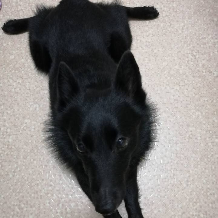 535e5c16 02ce 4c2e 8b93 2d24beb4b973 1591217018792