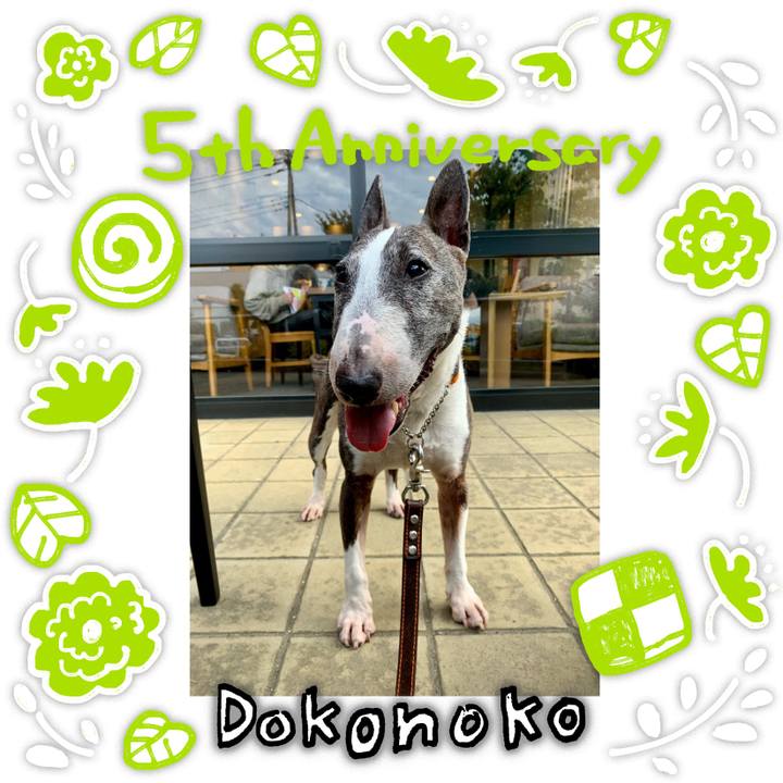 535e7e6c aa5c 4cc2 aba3 ec694ea4159c 1622984600741