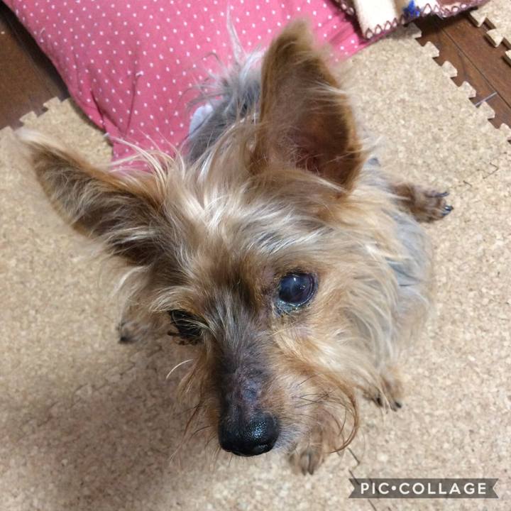 535efd6e fd44 40be 99c0 aa40158d1836 1558182187906