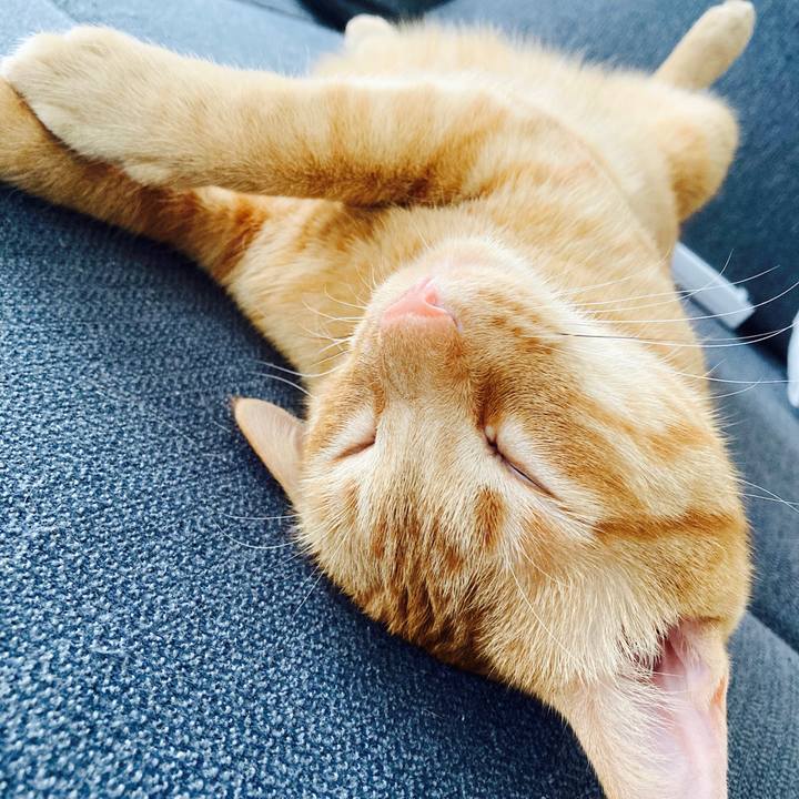 535efeee e977 4ba1 ae71 7edb01c68e9f 1593327962220