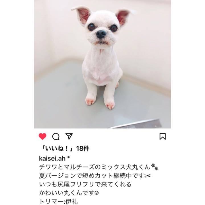 535f0d15 742a 4f21 a4fc ba86b40171ab 1631615523728