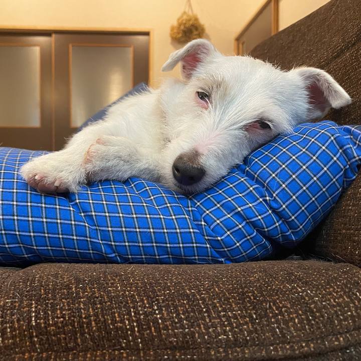 535f1315 1c86 42aa babb 2e541c4f461c 1772278204321