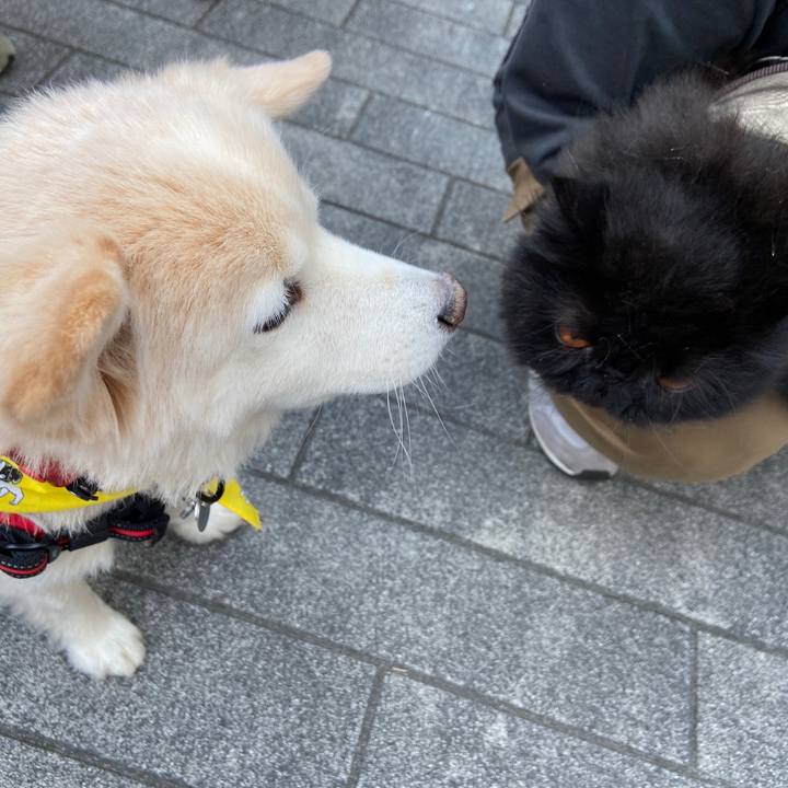 535f2427 d32f 48f3 9fb2 c62a20c3cb62 1699290467431