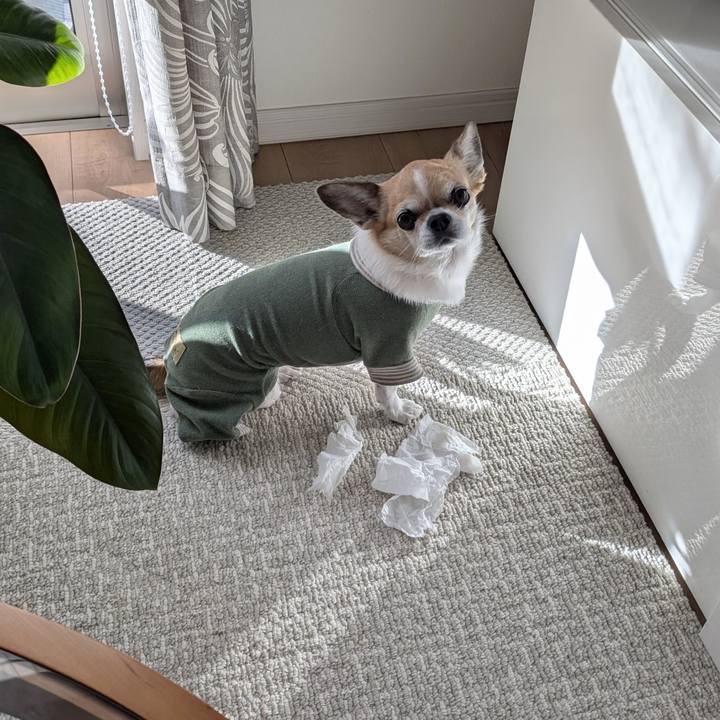 535f31d5 b28b 4442 bc14 65cb1249e130 1763945744690