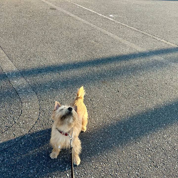 535f74a0 0ab1 4d6a 8a29 e8e81b584d59 1728881759550