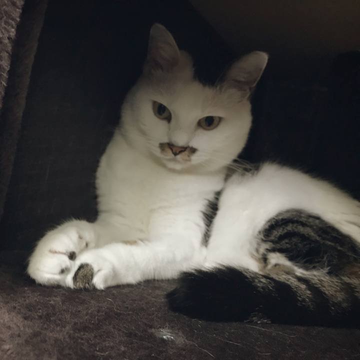 535f8c50 b81c 45e2 bca7 6e8574f91c6d 1536548637287