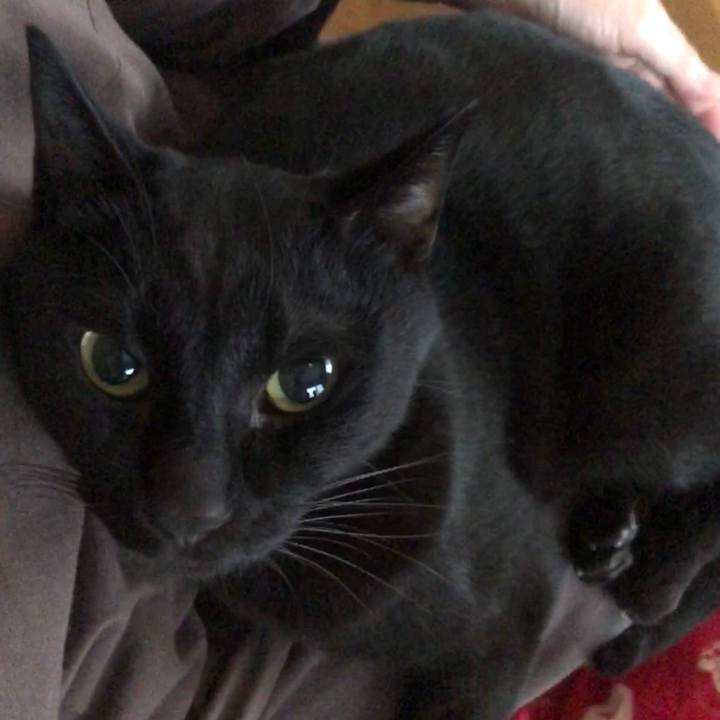 535fc7f8 d3f5 47db af52 3562b80ac0aa 1700863220776