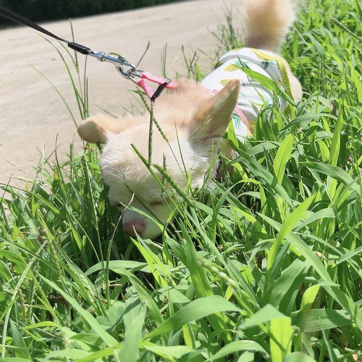 535fd5cd 16f0 4f65 b0d5 62601175f05f 1723444109216