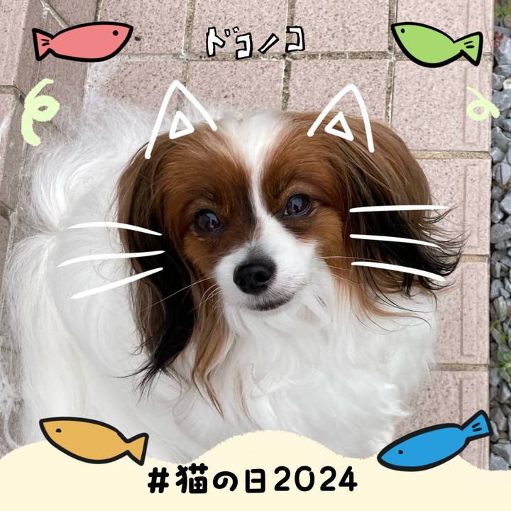 5360039a b55a 417a bf59 4244589b1d9a 1708568575800