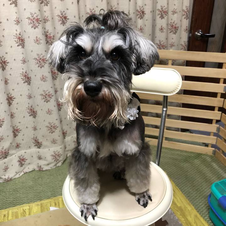 536023bc e165 474f 956f 0c88b63f9851 1550146729078