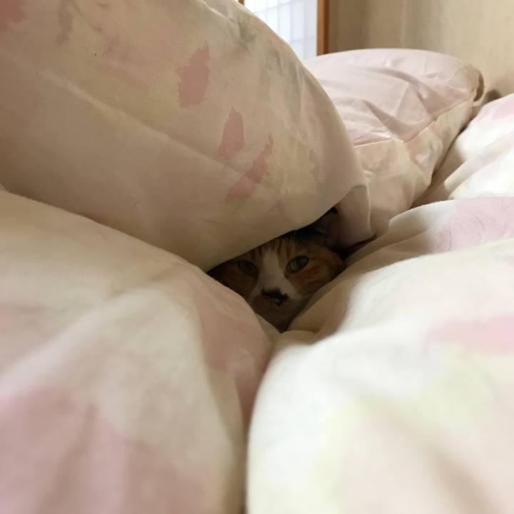 53603fbe 30ca 4c8a bc90 a8bc06da7ba1 1515113672684