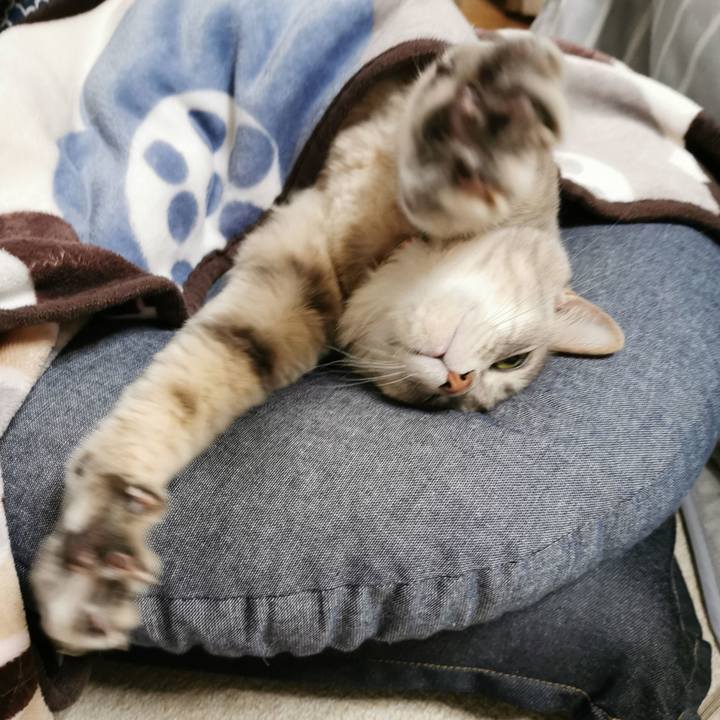 53605f19 084f 465e be88 1313bb567644 1644553007255