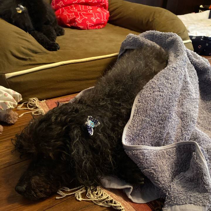 536063c8 f318 48b8 9f22 c8ca7d81fece 1597185080536