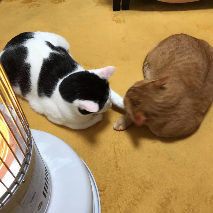 5360685d 3460 4751 b6f3 0b2ed6a8d0e6 1544489712191