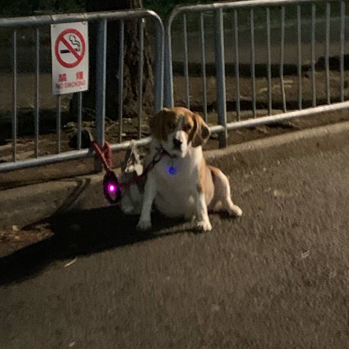 53606fe5 99d4 48da abd8 0c83892a342f 1648900921460