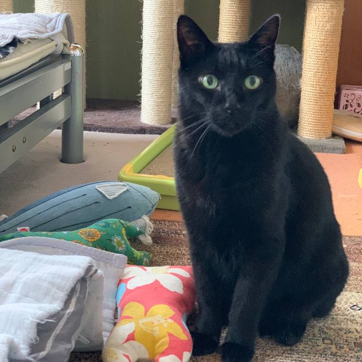 536088db 5714 44d4 8887 8fcf0c79bdc8 1587433993464