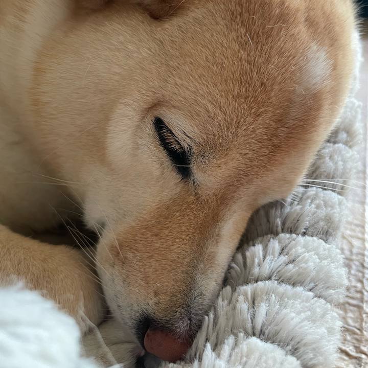 5360a9d0 cf75 4ff6 b5f2 4249ce23cbb5 1662003863646